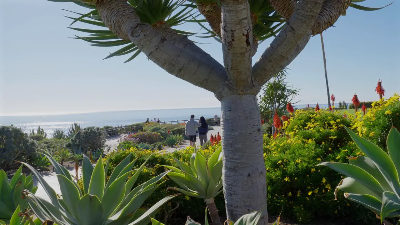 Couple walking along an oceanside path that is lined with colorful flowers and plants