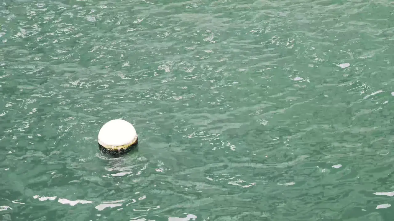 A buoy floating on a green clear sea