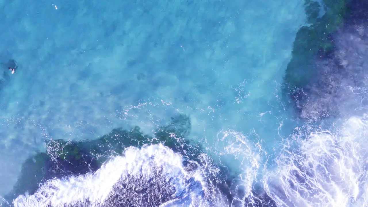 White fringed waves roll onto ocean rocks clear blue water bird flying across screen left of frame Tamarama beach Sydney Australia POV drone