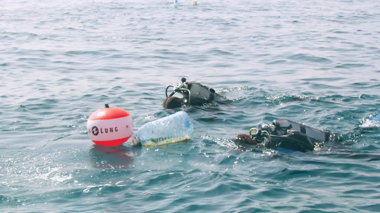 Ocean Conservancy-Volunteer Organization Protecting Environment With Scuba Divers In The Indian Ocean Kenya