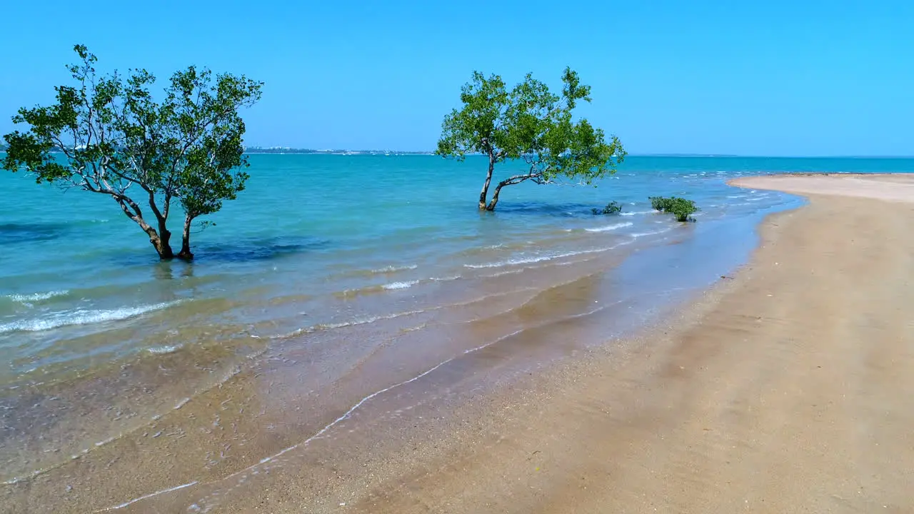 Flying over trees in water