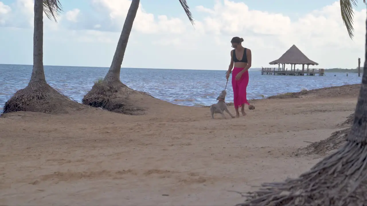 Latin brunette woman in a bikini and a pink beach wrap playing with her grey schnauzer dog go fetch at the beach with the sea in the back