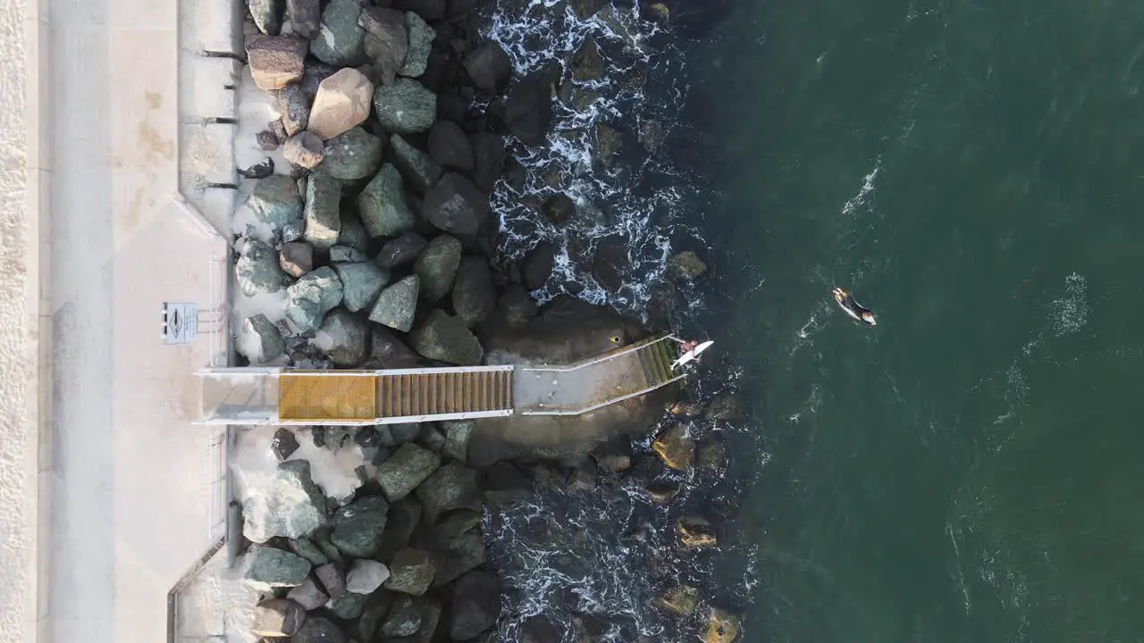 Surfers using a newly constructed ocean platform and stairs providing safe access to a popular surf beach