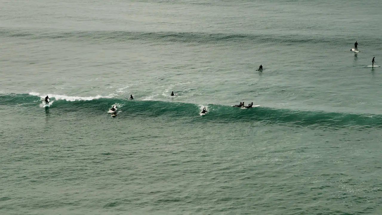 Surfers catch some waves off the California coast near San Diego California