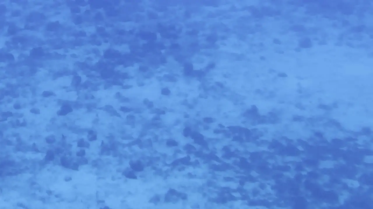 Cinematic close-up dolly shot of the ocean floor through a submarine porthole off the coast of Hawai'i