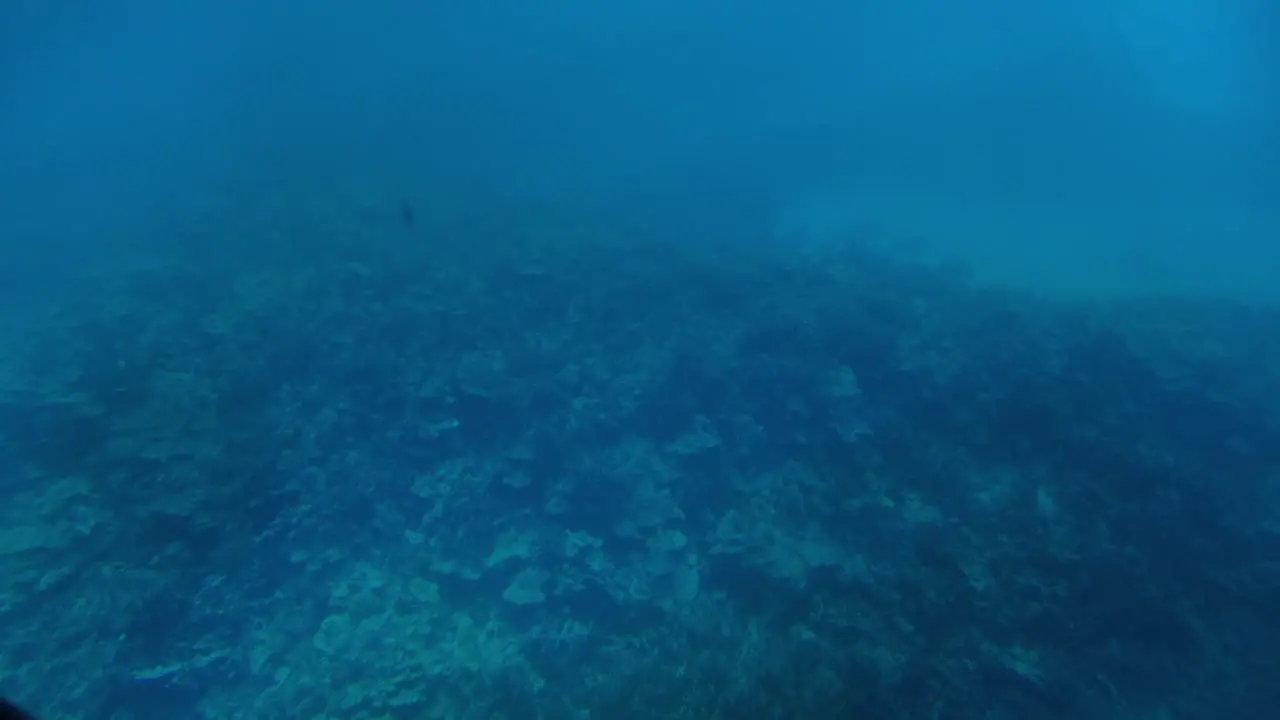 Gimbal dolly shot across a coral reef on the ocean floor while looking through a submarine porthole off the coast of Kailua-Kona in Hawai'i