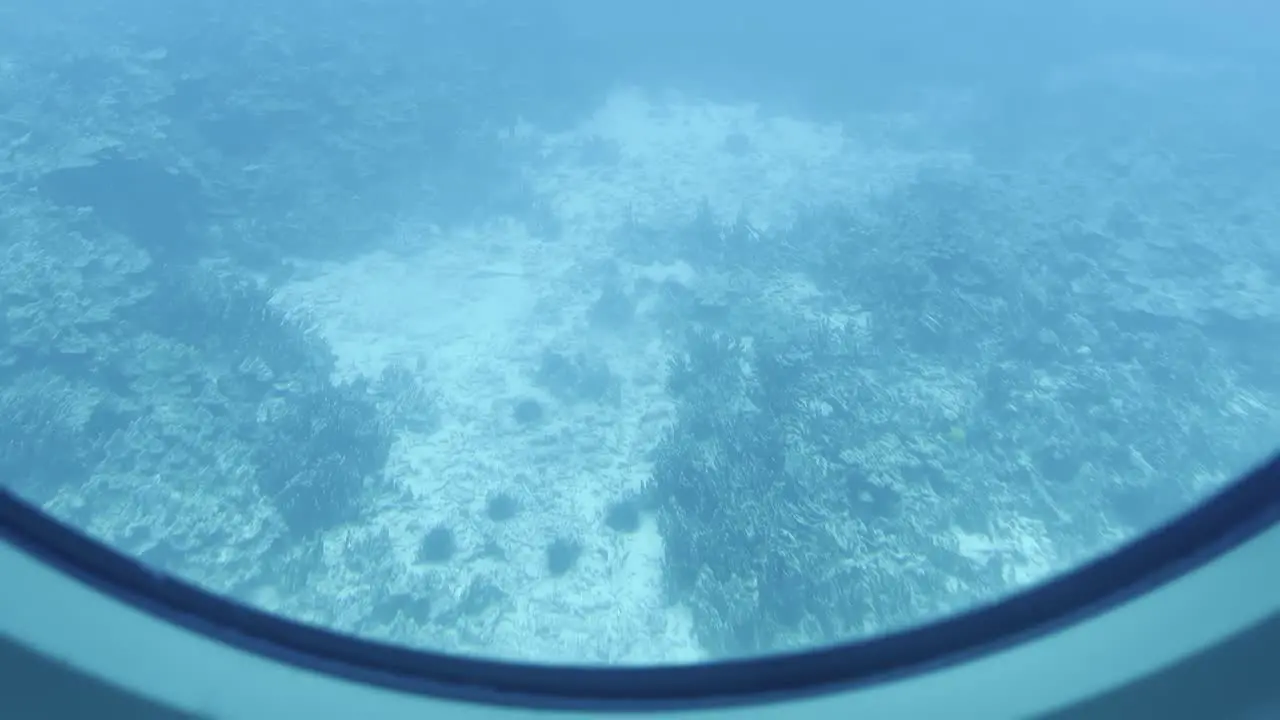 Cinematic dolly shot of the ocean floor from a submarine porthole on the ocean floor near the coast of Hawai'i