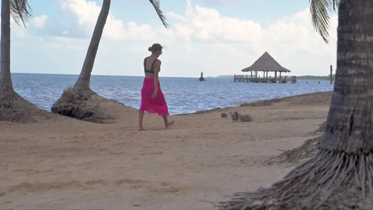 Latin brunette woman in a bikini and a pink beach wrap playing with her grey schnauzer dog at the beach with the sea in the back