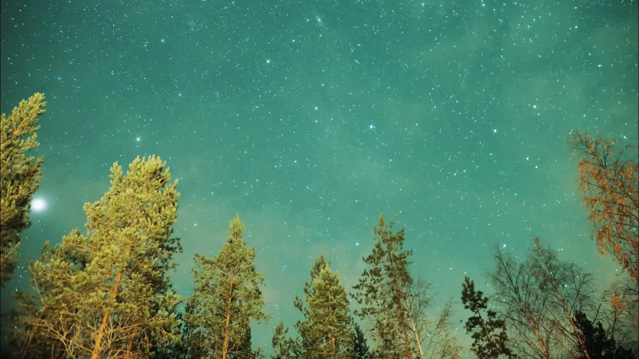 Night star time lapse in boreal forest