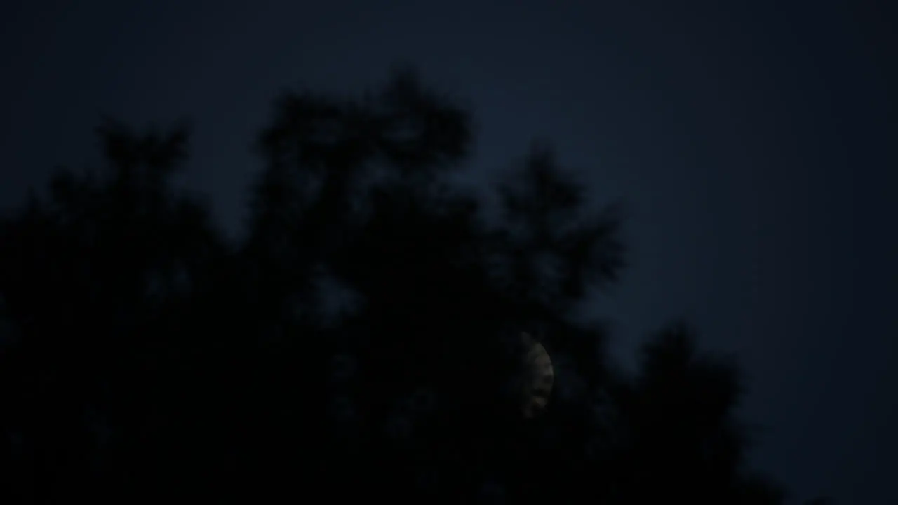 Time-lapsed tracking shot of crescent moon moving through a cloudy sky and setting behind trees at night fall