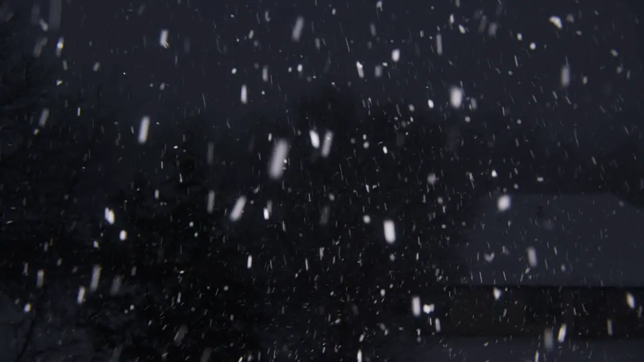 Snow falling rapidly on a dark January night with a house in the background