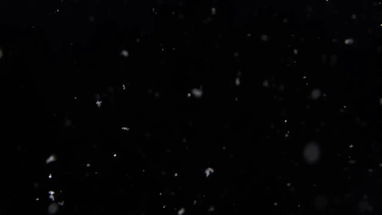 slow-motion flurry of snow in a pitch black January night