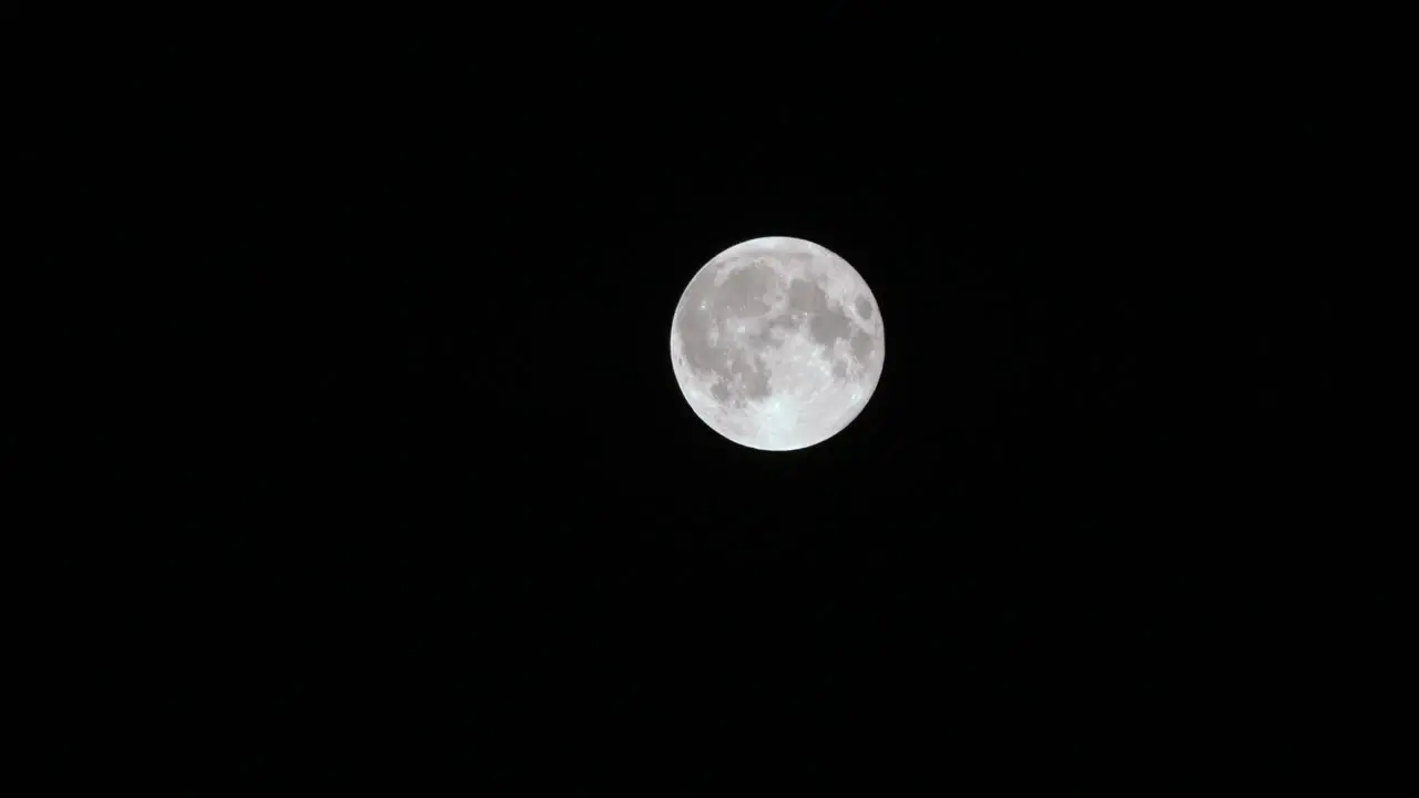 The full moon seen in a clear night sky