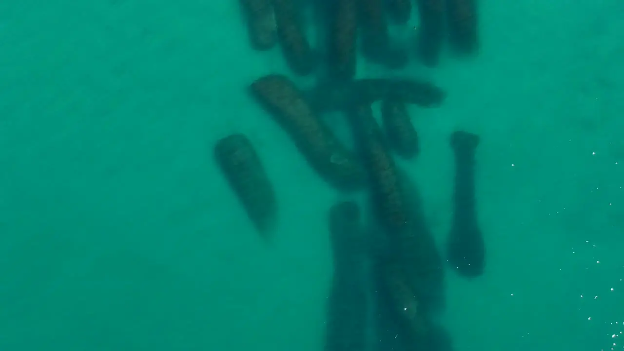 Aerial footage of sea birds sitting above an artificial reef