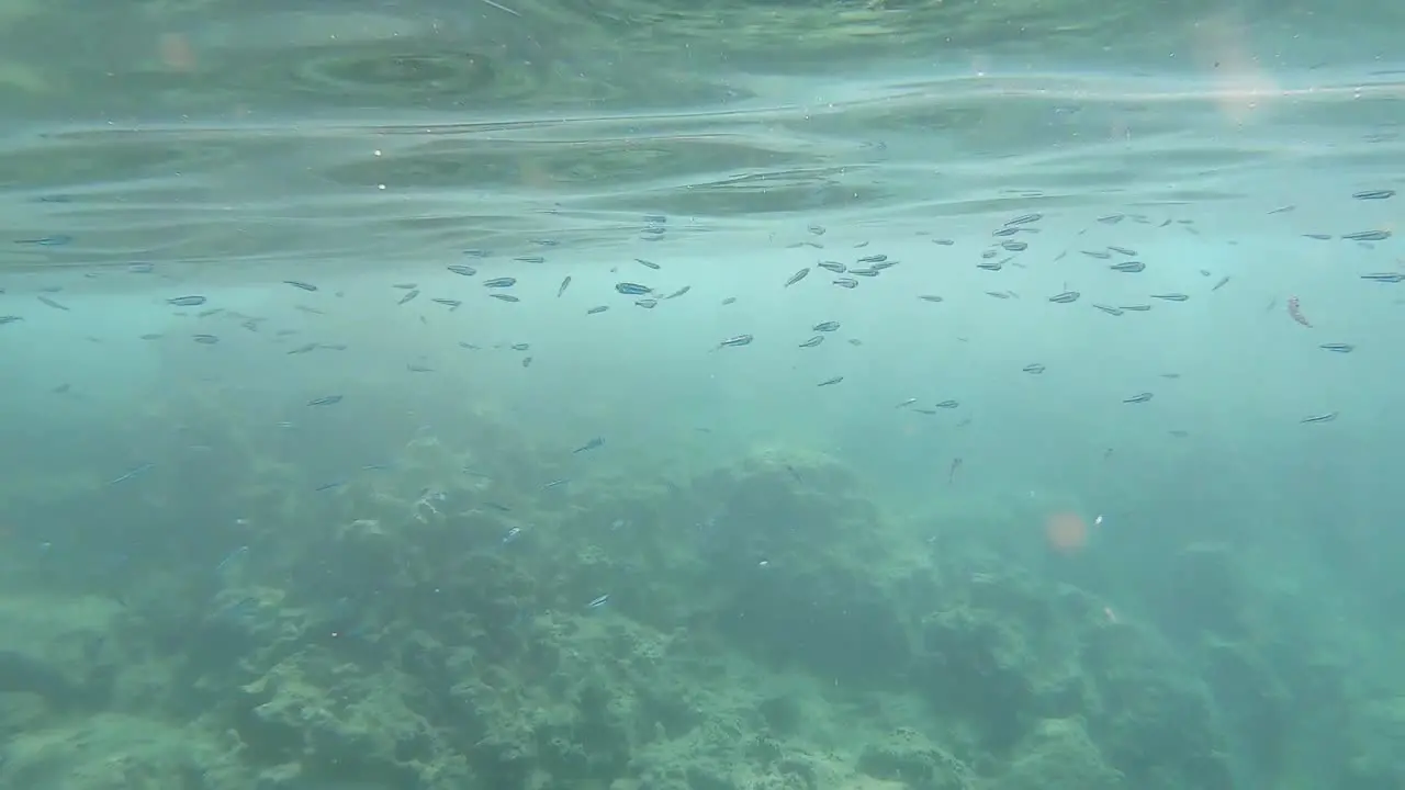 Snorkelling in the crystal clear waters of Kekova