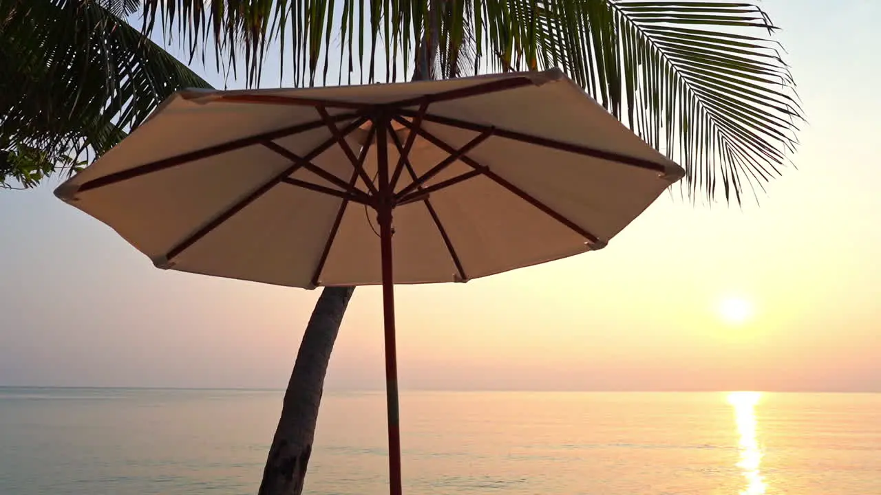 Silhouette of sun umbrella under palm tree with sea in background at sunset