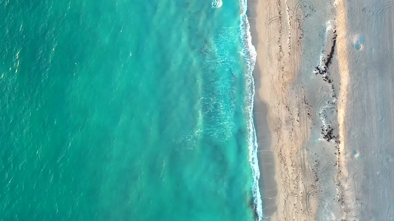 Tropical Florida Beach Aerial Looking Straight Down