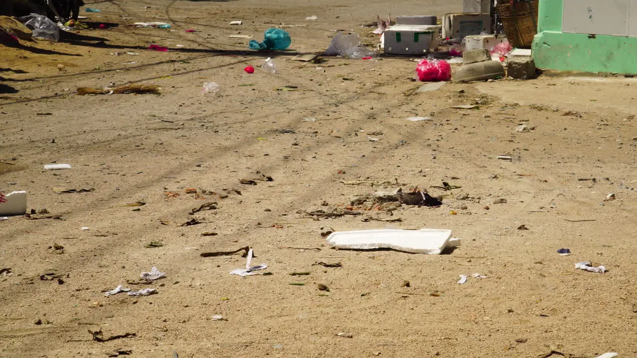 Pollution concept tropical beach with plastic bag trash waste and scooter driving on the sand climate change global warming