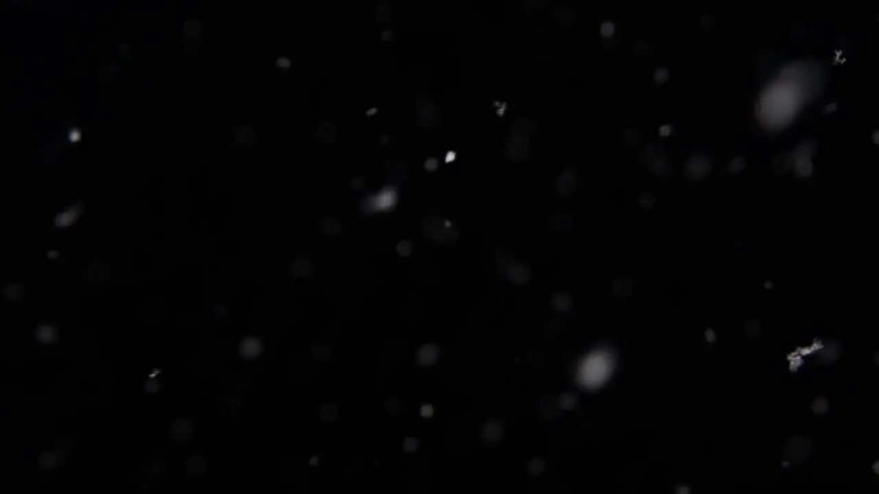 quick-paced light snow in a pitch black winter night