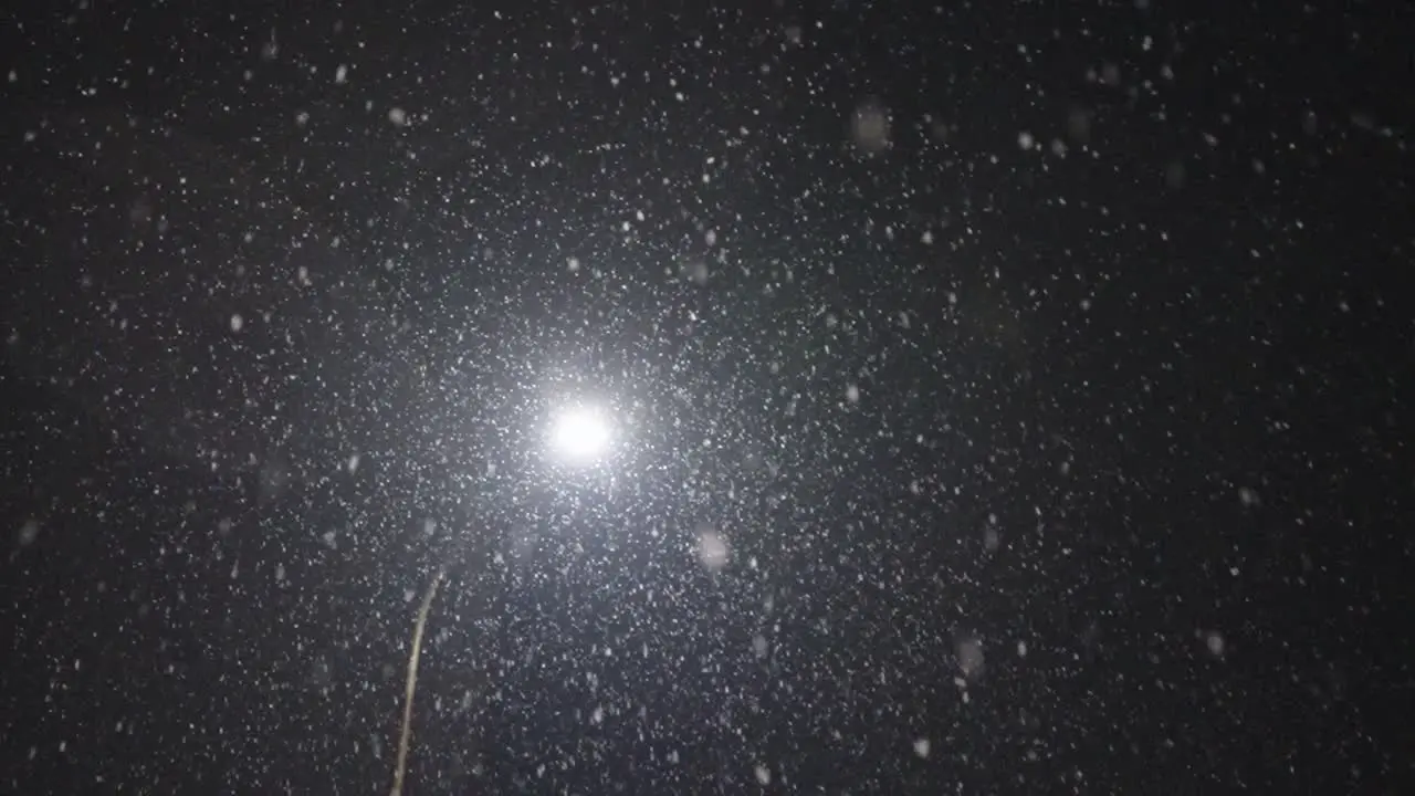 static slow motion during a snowfall in a city at night pointing at a street lamp