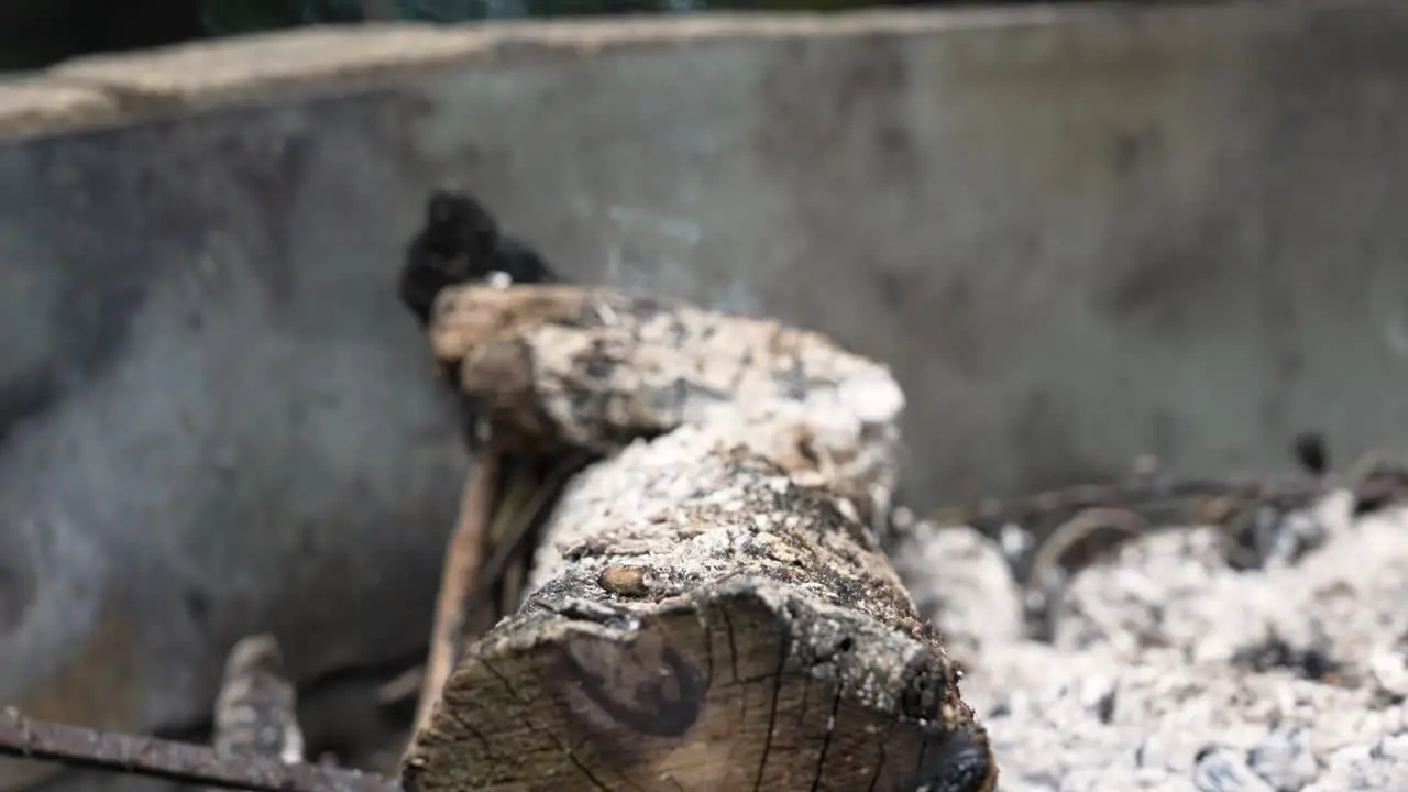 Smoke flowing from smoldering logs