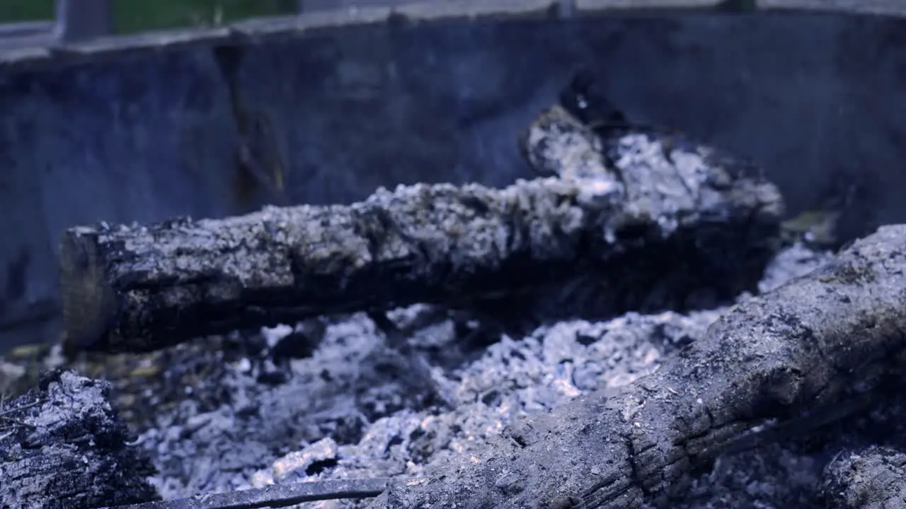 Tilting up to show a burnt out log smoldering in the evening