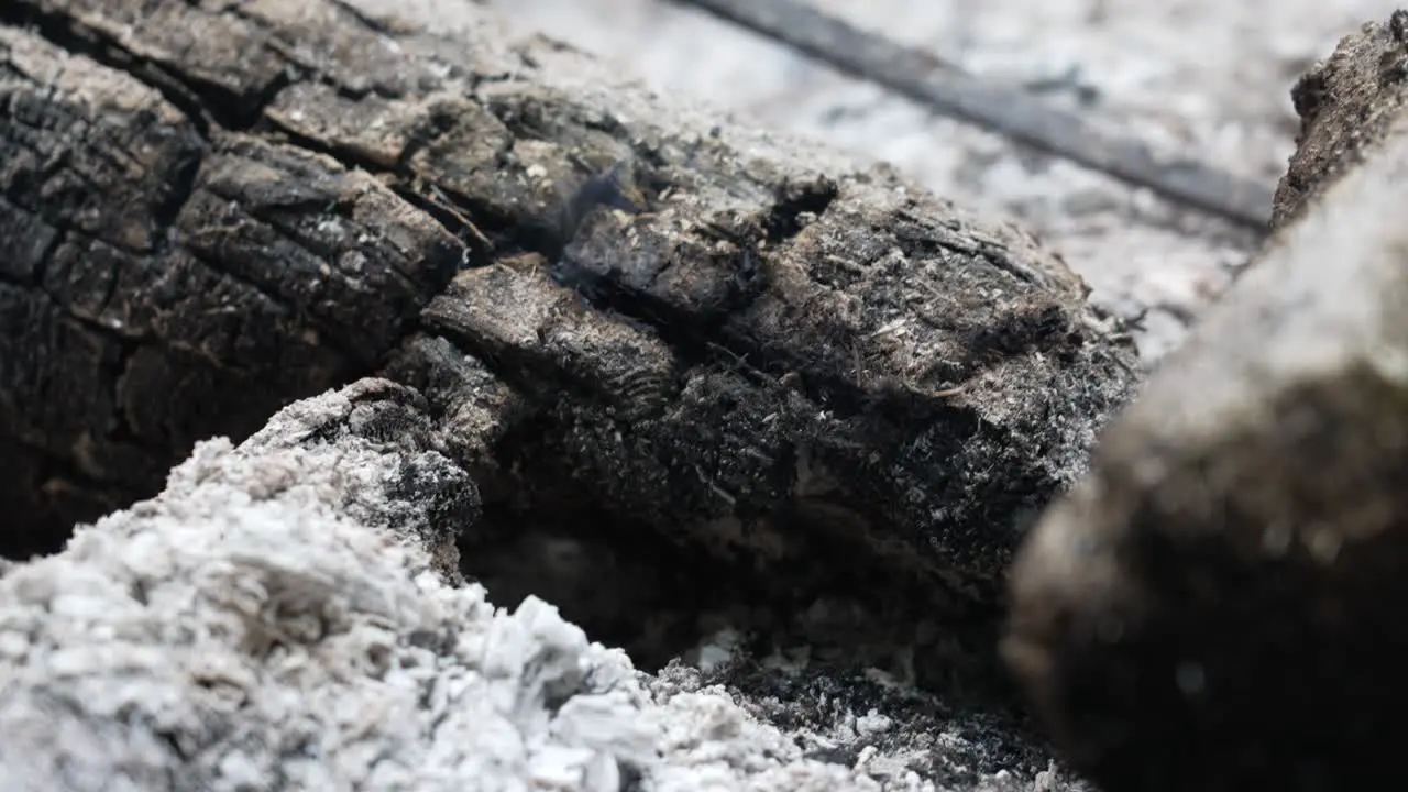 Remains of a burned out log in a fire pit