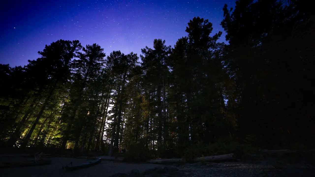 Starlapse Beach Tall Pines Moon Shining Through Trees