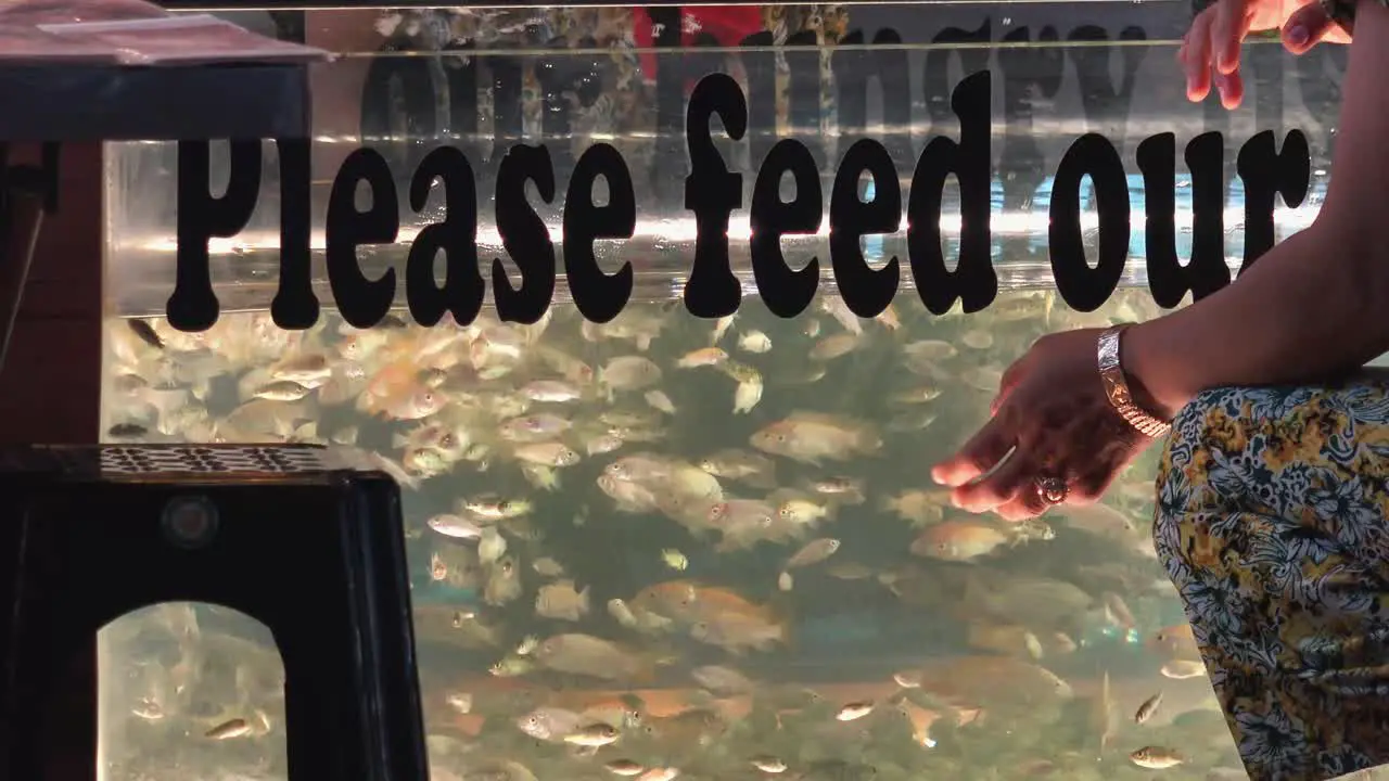 Close Shot of a Tank Full of Fish for Fish Massage