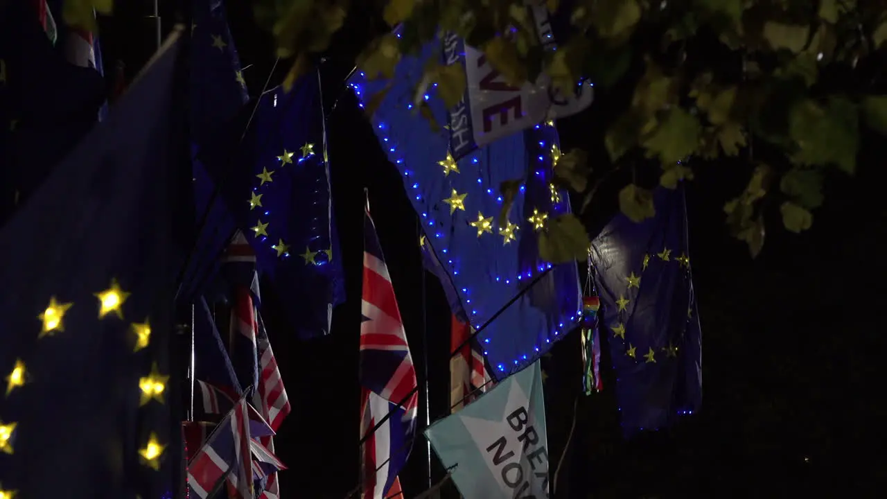 - Blue European Union flags with lit up yellow stars are flown and seen through a leafy tree canopy any night