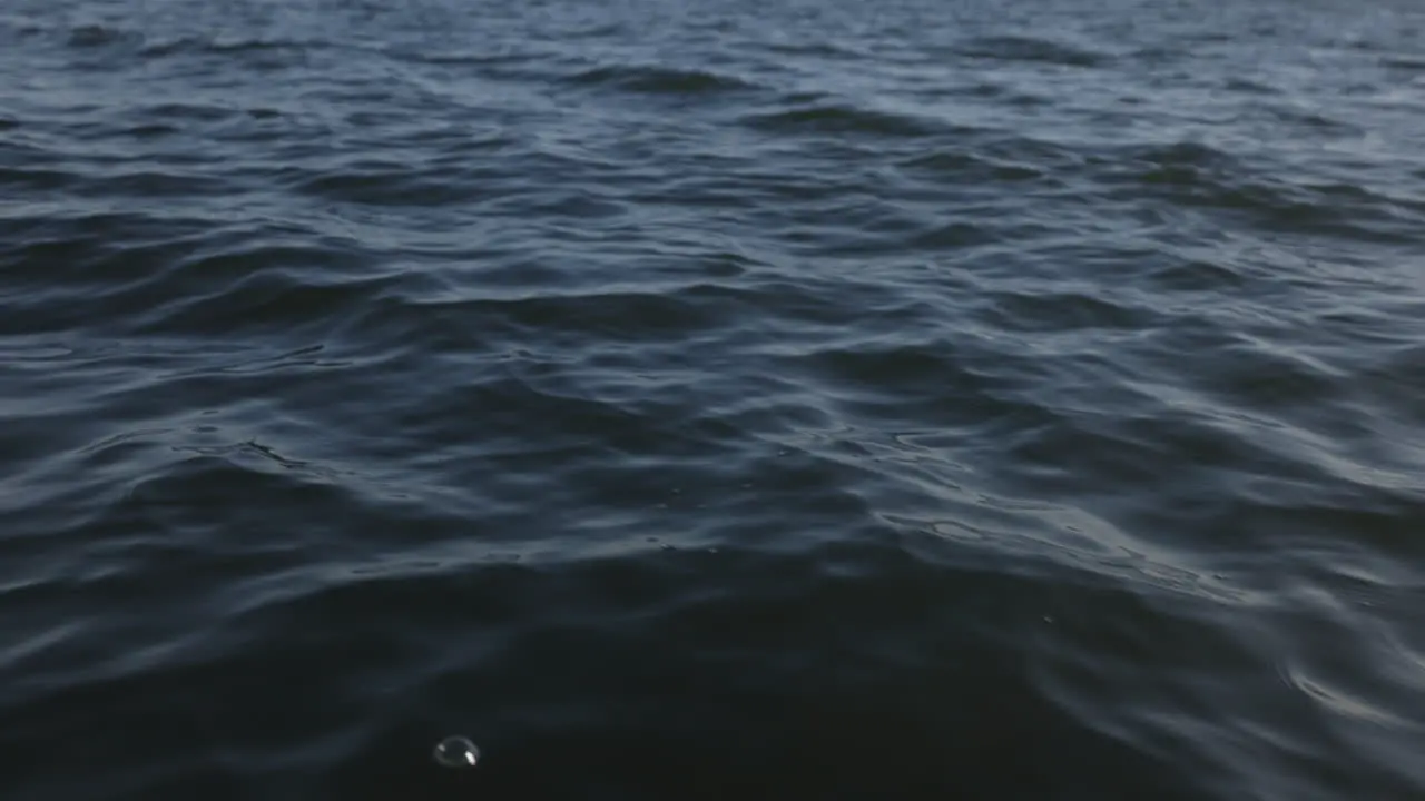 Slow motion of moody waves in Puget Sound