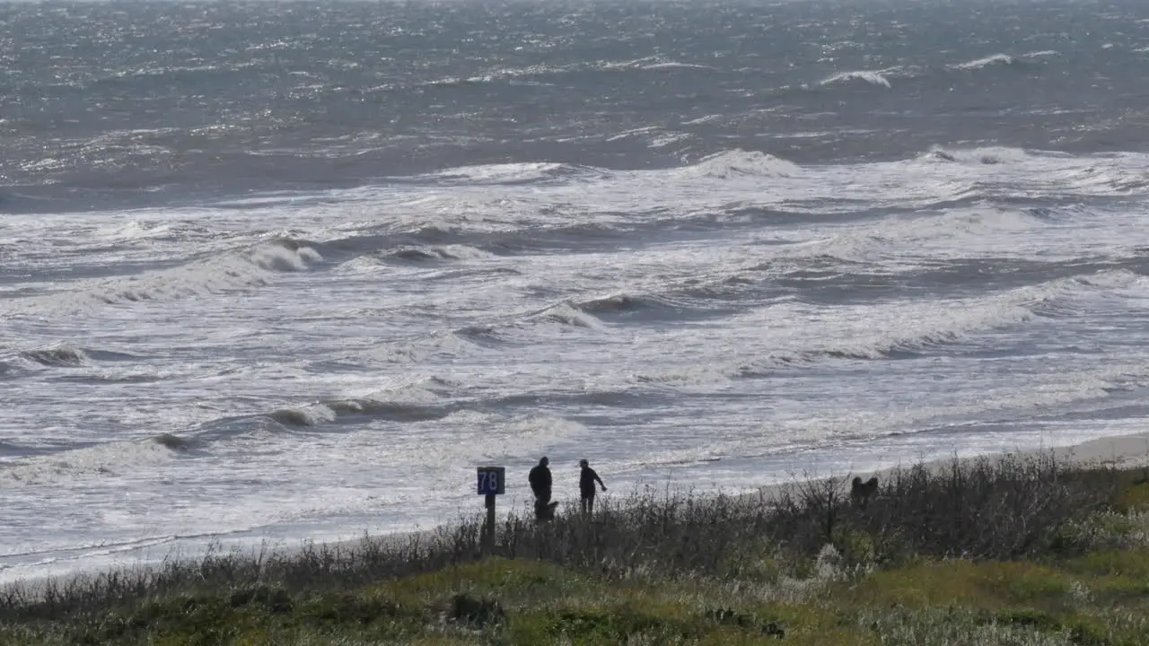 Texas Mustang Island People On Beach