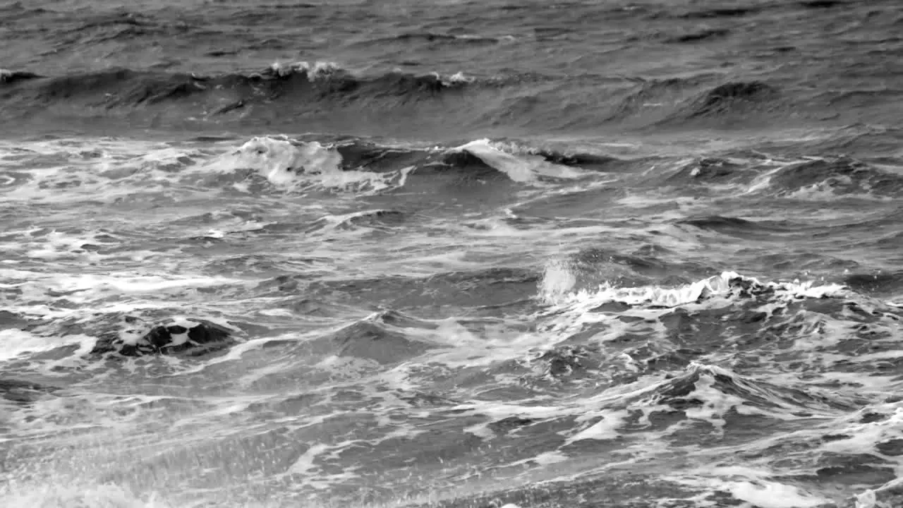 Waves Crashing in Slow Motion Grayscale