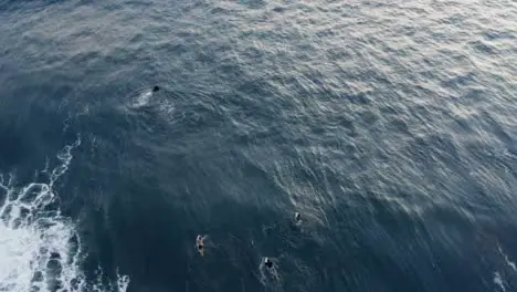 Drone Shot Looking Down On Surfers Attempting Swim Against Waves