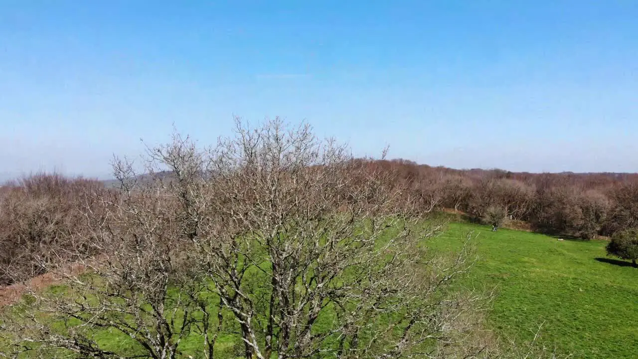 Aerial rising shot overlooking Hembury Fort in Devon England UK on a sunny day