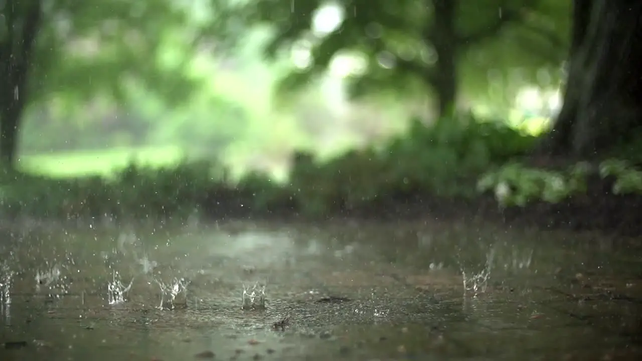 Raindrops in Super Slow Motion