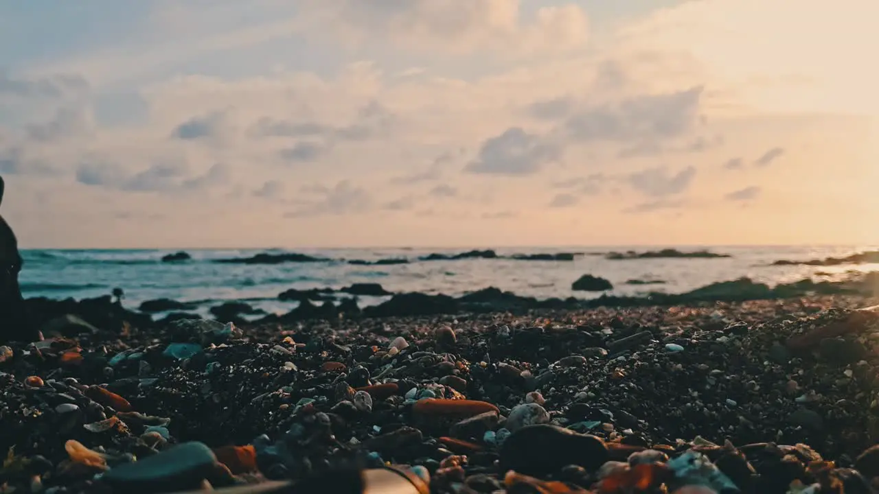 Man walking German Sheppard at the beach during sunset