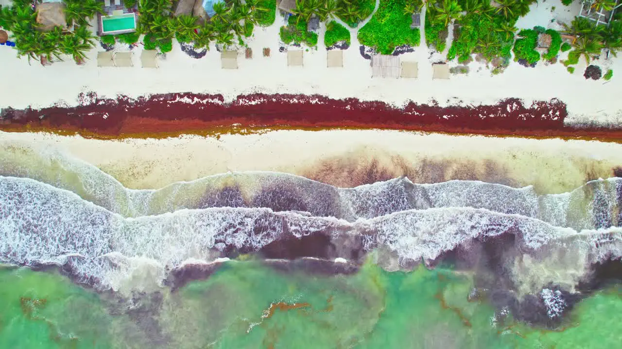 Birds Eye Drone Footage Of Tropical Idyllic Caribbean Vacation Spot In Mexico