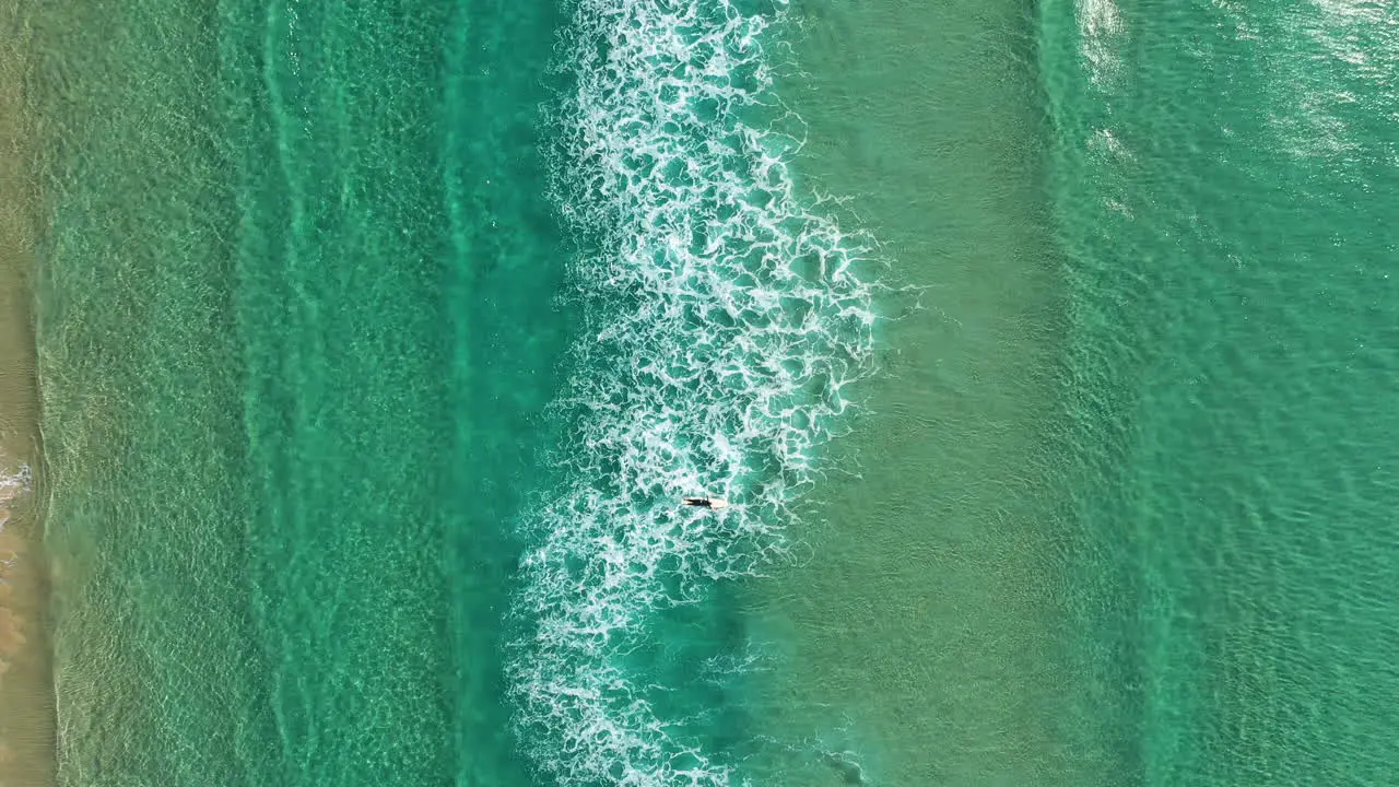 4k Top view aerial shot of a fearless surfer athlete swimming through big powerful waves at Byron Bay Australia