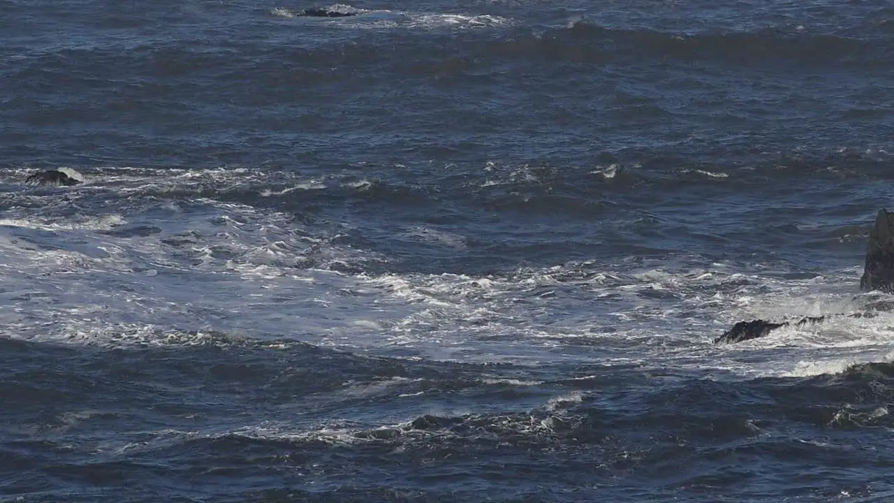 California Waves On Rocks Coast Near Trinidad Pan