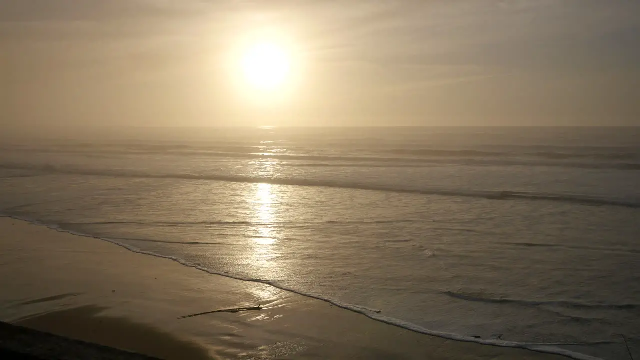 Oregon Coast Bright Sun And Reflections With Bird