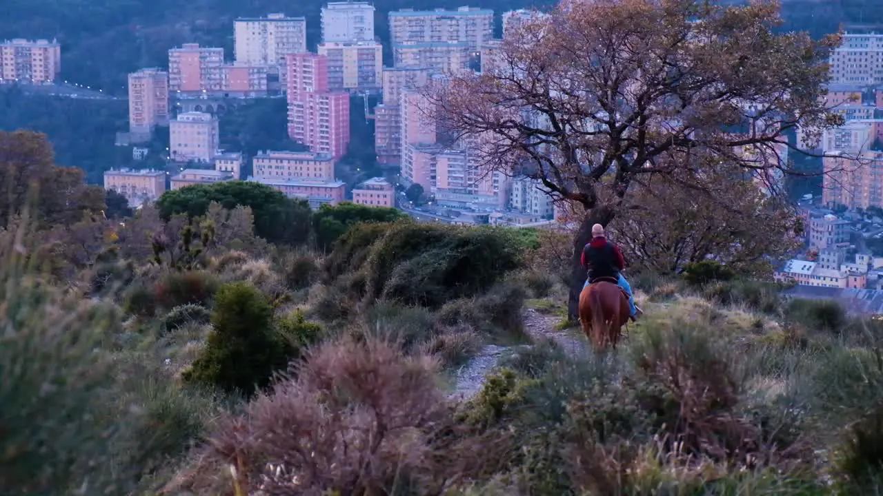 person on a horse walking in the nature near a big city at sunset