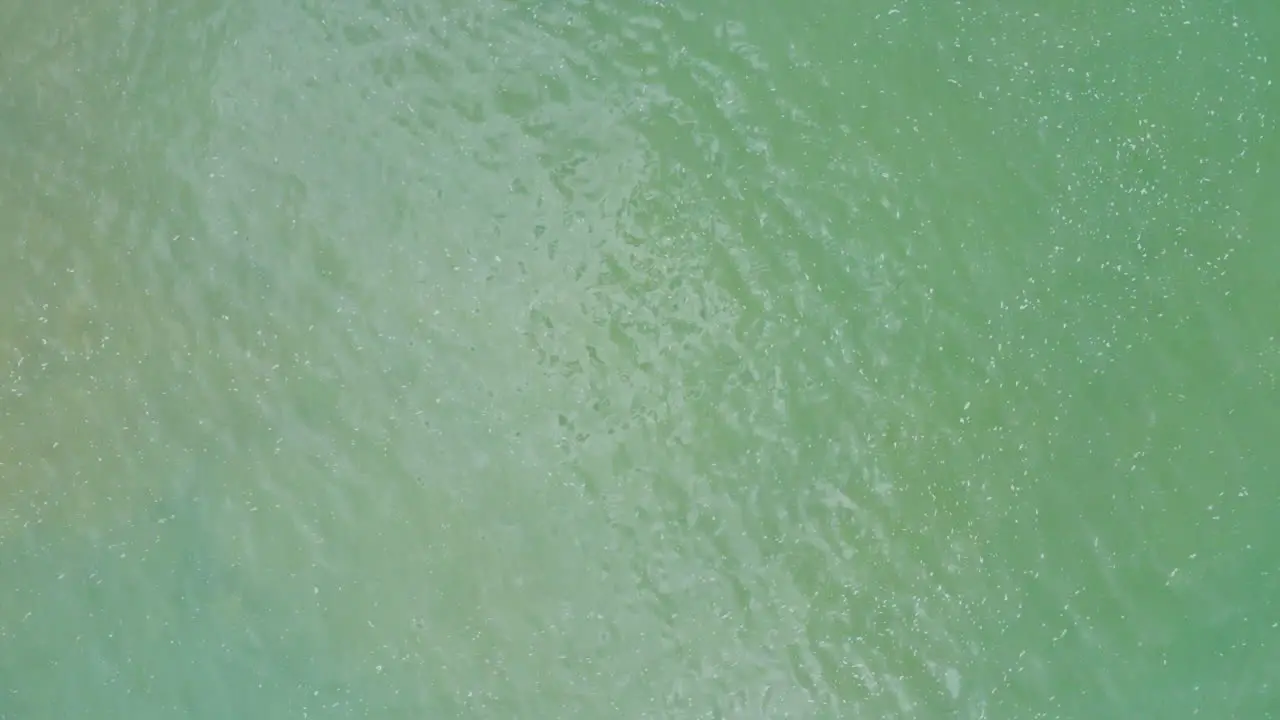 A downward aerial view drifts over a turquoise sea and past small waves breaking on to an olive-brown rocky seashore covered in seaweed