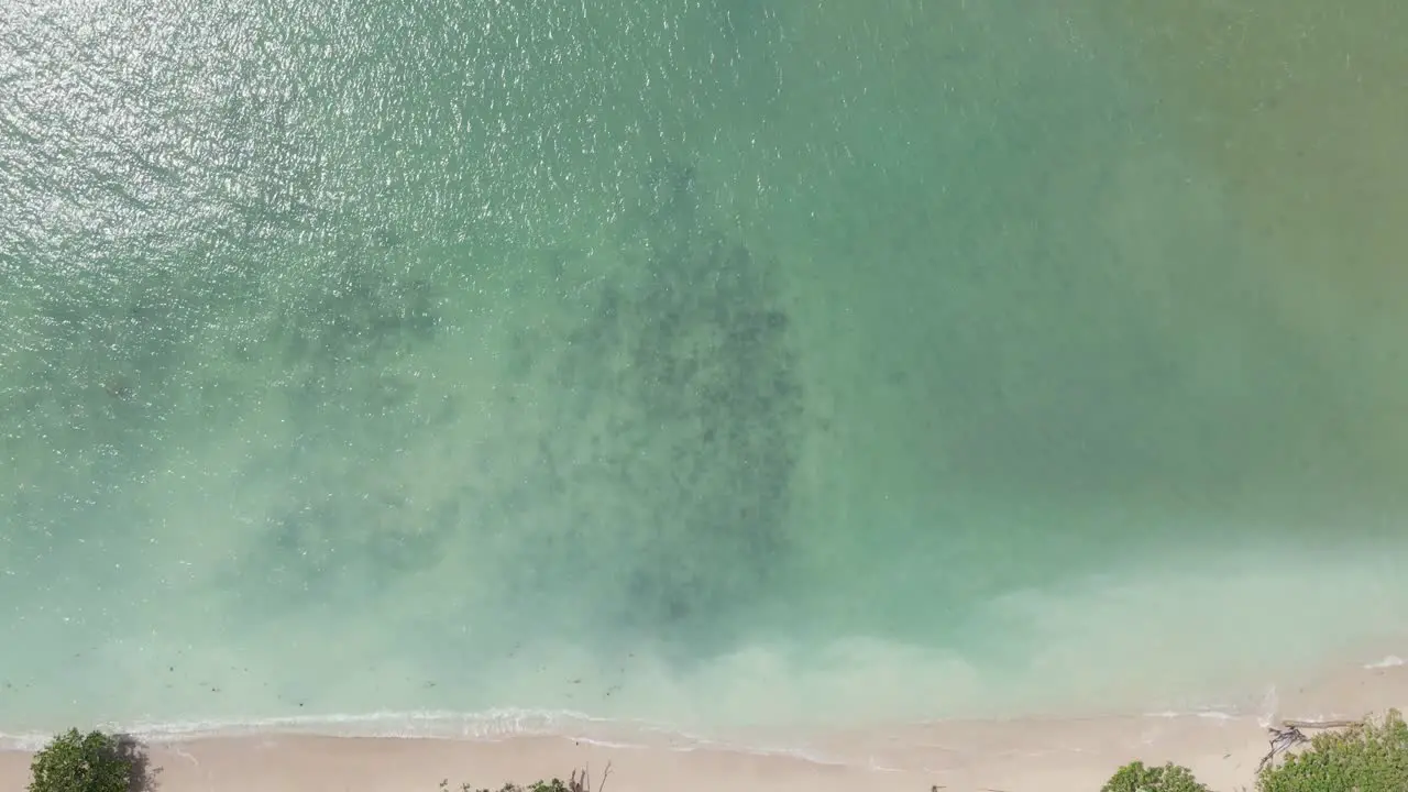 AERIAL Looking straight down through clear water into coral reefs