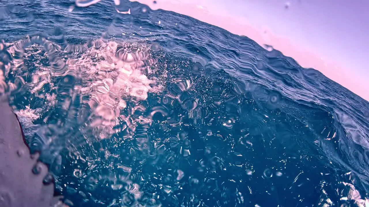 Meeting dolphins swimming below the motorboat