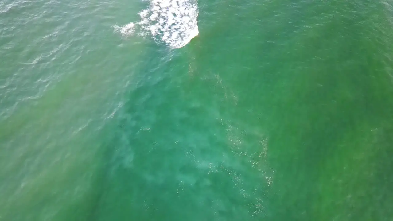 Waves In The Pacific Ocean Gold Coast Queensland Australia