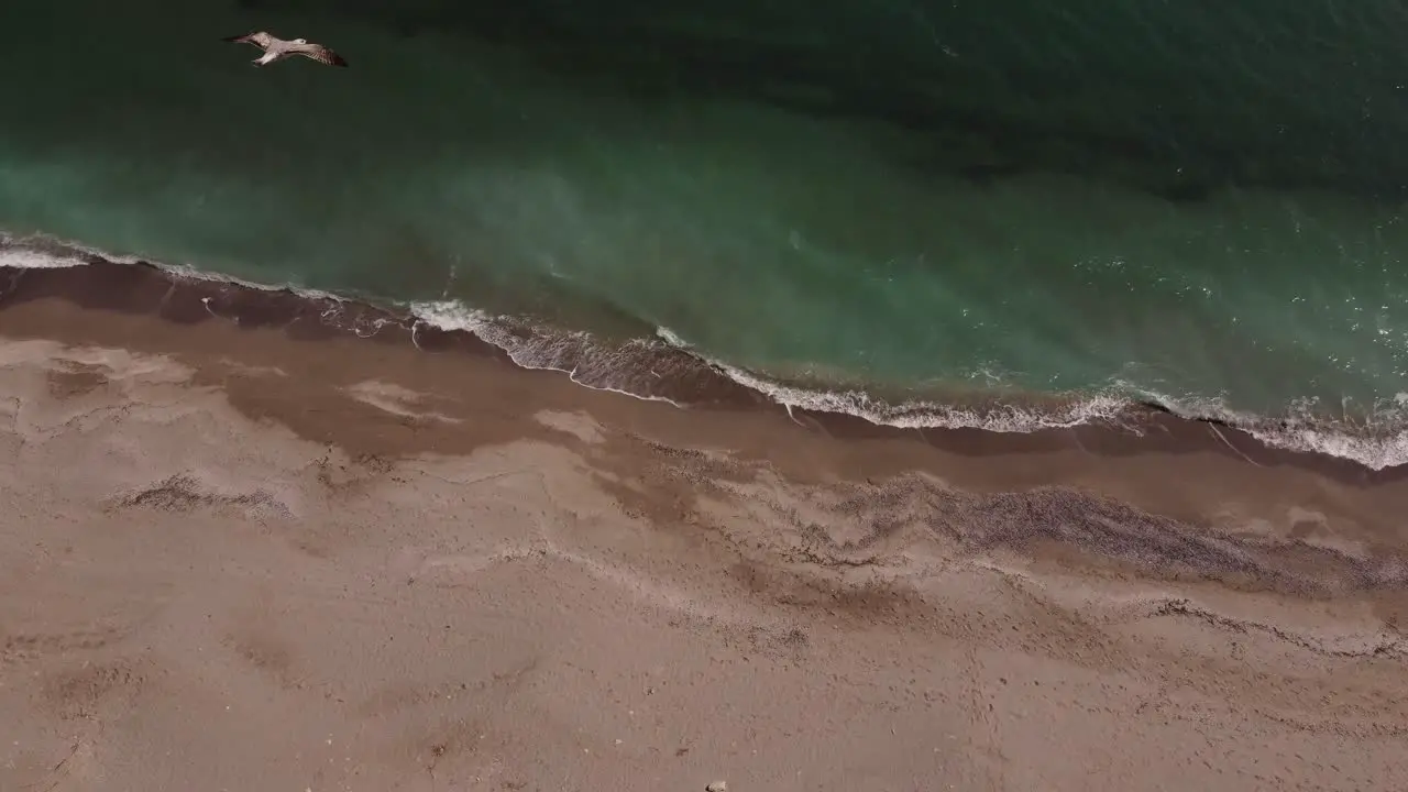 Top View Of Sandy Beach With Turquoise Water