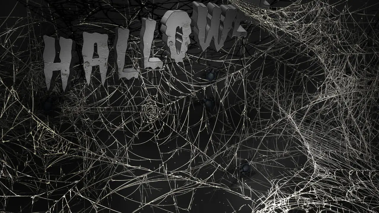 Animation text Halloween and mystical horror background with dark spiderweb 1