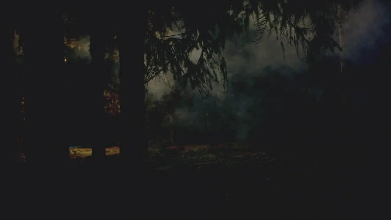 Wide Shot of forest at night as fog rolls in