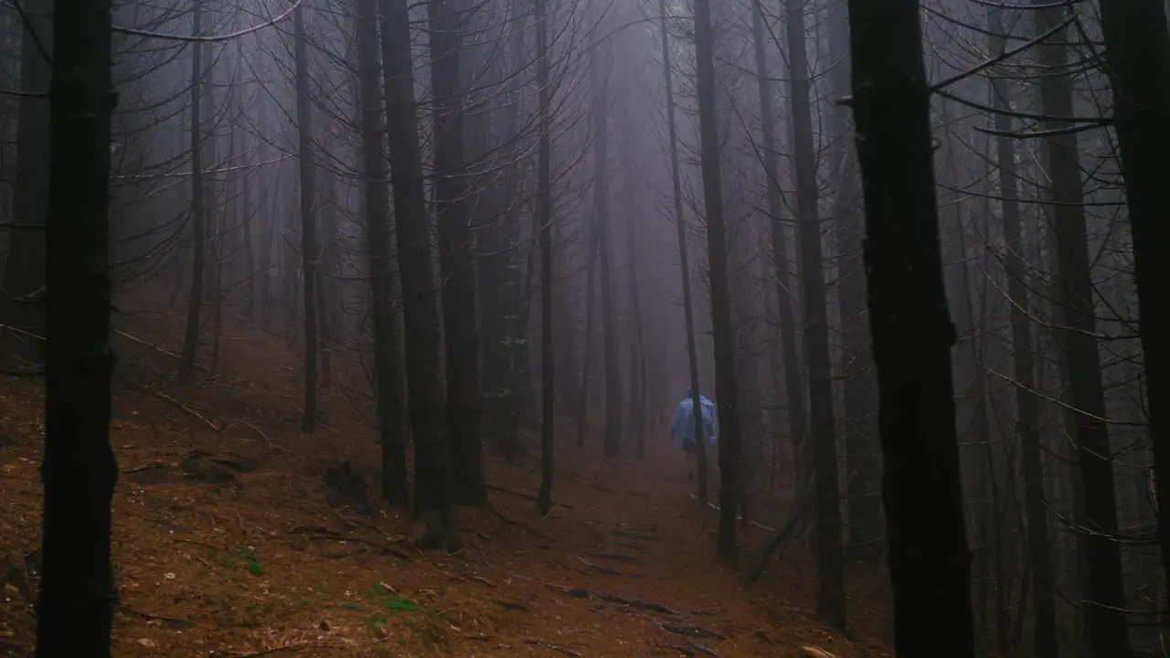 Panning right wide scene shot of two hikers walking within a dark forest with dried trees and a trail covered with amber leaves